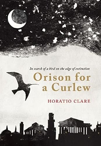 Tapa de Orison for a Curlew