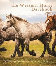 Tapa de 2016 Western Horse Desk Datebook