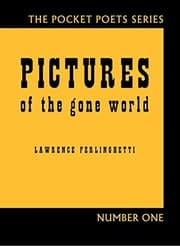 Tapa de Pictures of the gone world