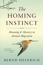 Tapa de The Homing Instinct
