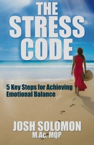 Tapa de The Stress Code