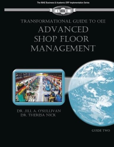 Tapa de Transformational Guide to OEE