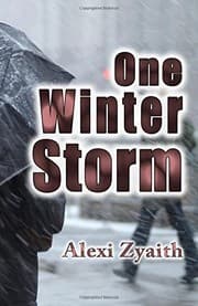 Tapa de One Winter Storm