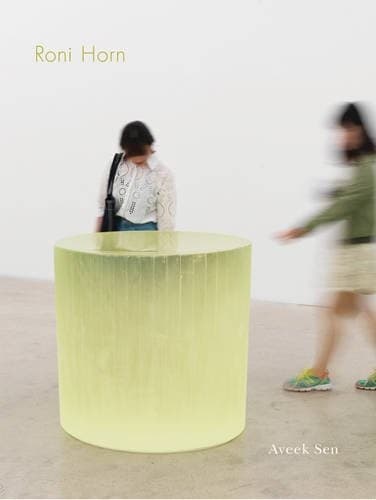 Tapa de Roni Horn