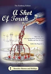 Tapa de A Shot of Torah