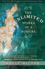Tapa de The Unlimited Sparks of a Bonfire