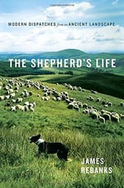 Tapa de The shepherd's life