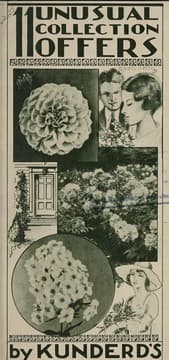 Tapa de 11 unusual collection offers by Kunderd's