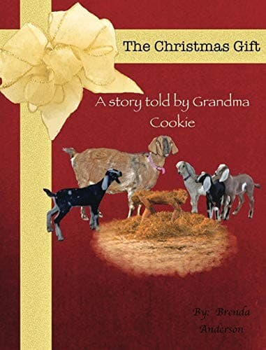 Tapa de The Christmas Gift