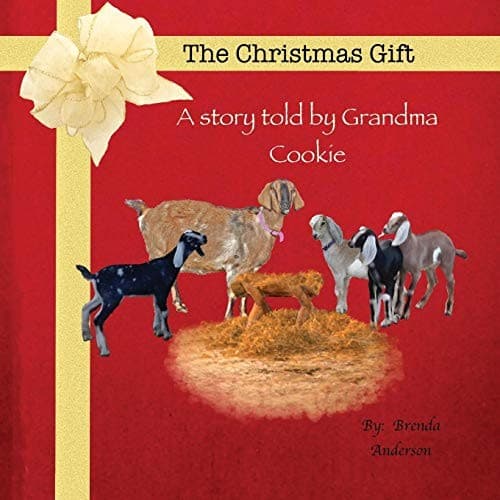 Tapa de The Christmas Gift