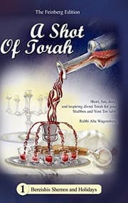 Tapa de A Shot of Torah Volume 1