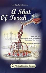 Tapa de A Shot of Torah Volume 2