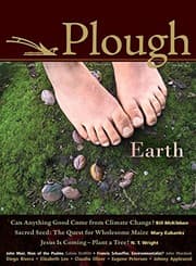 Tapa de Plough Quarterly No. 4