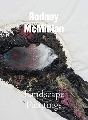 Tapa de Rodney McMillian