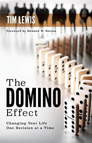 Tapa de The Domino Effect