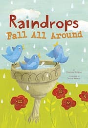 Tapa de Raindrops Fall All Around