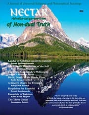 Tapa de Nectar of Non-Dual Truth #30