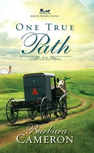 Tapa de One True Path