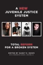 Tapa de A New Juvenile Justice System