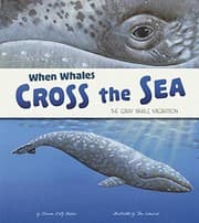 Tapa de When Whales Cross the Sea