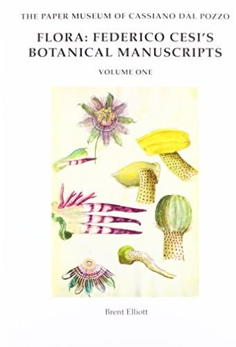 Tapa de Flora
