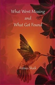 Tapa de What Went Missing and What Got Found