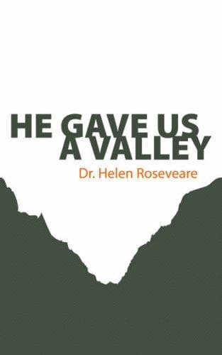Tapa de He Gave Us a Valley