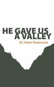Tapa de He Gave Us a Valley