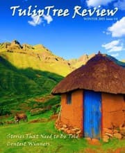 Tapa de TulipTree Review