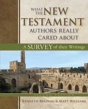 Tapa de What the New Testament Authors Really Cared About