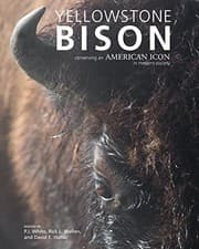 Tapa de Yellowstone Bison