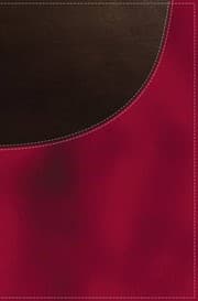 Tapa de KJV, Super Giant Print Reference Bible, Giant Print, Imitation Leather, Red/Brown, Red Letter Edition