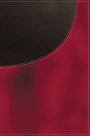 Tapa de KJV, Super Giant Print Reference Bible, Giant Print, Imitation Leather, Red/Brown, Indexed, Red Letter Edition