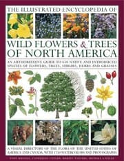 Tapa de The Illustrated Encyclopedia of Wild Flowers & Trees of North America