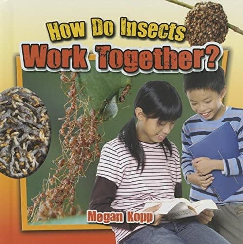 Tapa de How Do Insects Work Together?