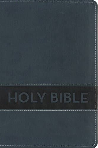 Tapa de NIrV, Gift Bible, Leathersoft, Blue