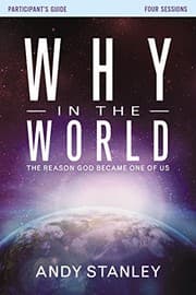 Tapa de Why in the World Participant's Guide