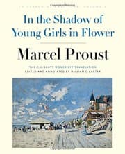 Tapa de In the Shadow of Young Girls in Flower