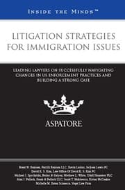 Tapa de Litigation Strategies for Immigration Issues