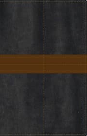 Tapa de NIV, Bible for Men, Leathersoft, Gray/Tan