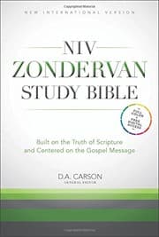 Tapa de NIV Zondervan Study Bible, Bonded Leather, Burgundy, Indexed