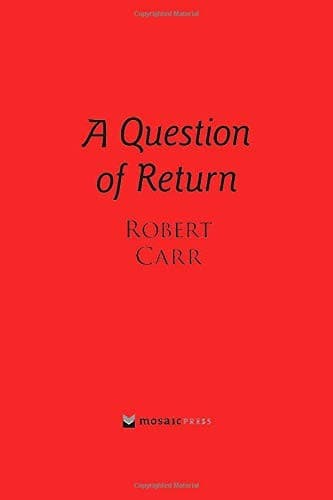 Tapa de A Question of Return