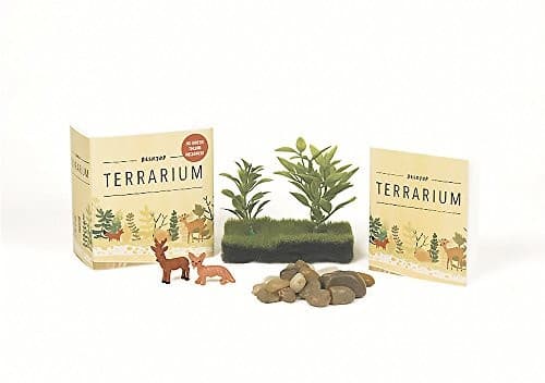 Tapa de Desktop Terrarium