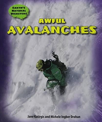 Tapa de Awful Avalanches