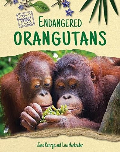 Tapa de Endangered Orangutans