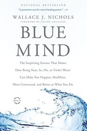 Tapa de Blue mind