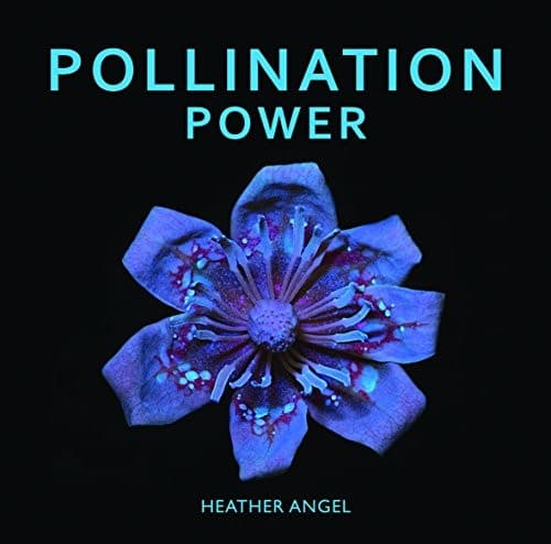 Tapa de Pollination Power