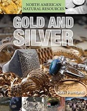 Tapa de Gold and Silver