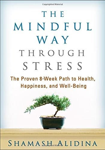 Tapa de The Mindful Way through Stress