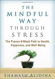 Tapa de The Mindful Way through Stress